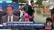 Aux États-Unis, des tests ADN pour réunir les familles de migrants séparées