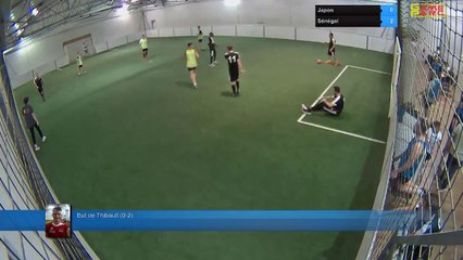 Japon Vs Sénégal - 05/07/18 21:00 - CDM 2018 Poule H 05/07 - Poitiers Game Parc