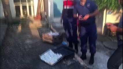 Bir bavul sahte dolar ele geçirildi