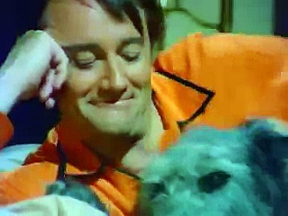 The Protectors TV Intro