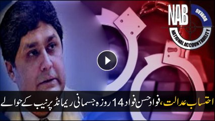 Accountability court approves 14-day physical remand of Fawad Hasan Fawad