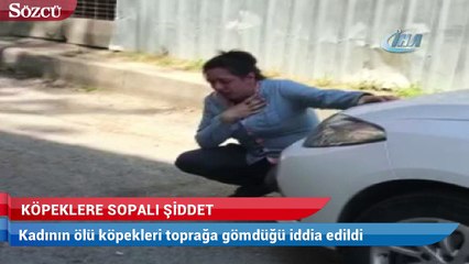İstanbul’da köpeklere sopalı şiddet kamerada
