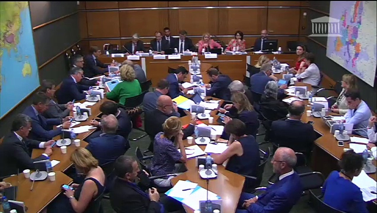 Commission du développement durable : M. Augustin de Romanet, président-directeur général du Groupe ADP - Mercredi 4 juillet 2018