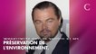 Ségolène Royal se lance dans le cinéma et contacte Leonardo Di Caprio et Marion Cotillard