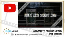 EUROMEDYA Asansör Sektörü Web Tasarımı