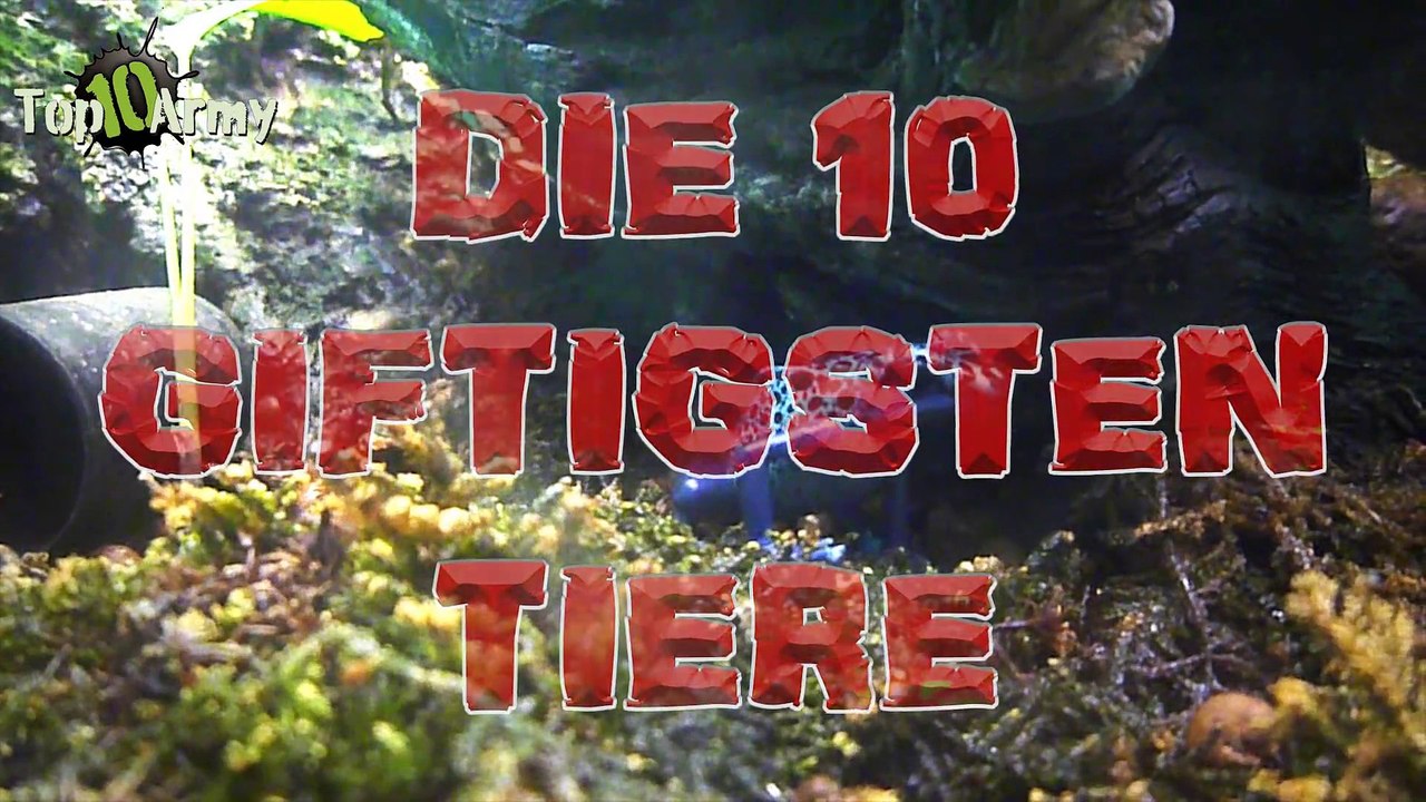 Top 10 Die GIFTIGSTEN Tiere der Welt