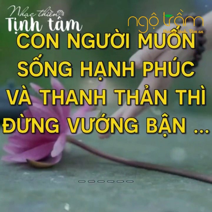 ĐỪNG VƯỚNG BẬN - TRẦM HƯƠNG NGỘ TRẦM