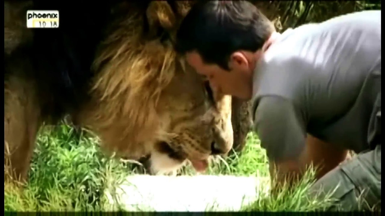 Der Löwenmann Kevin Richardson Dokumentation