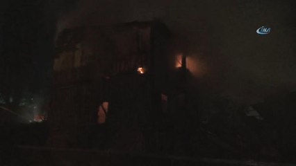 Yavru Kedilerin Çığlıklarına Dayanamadılar