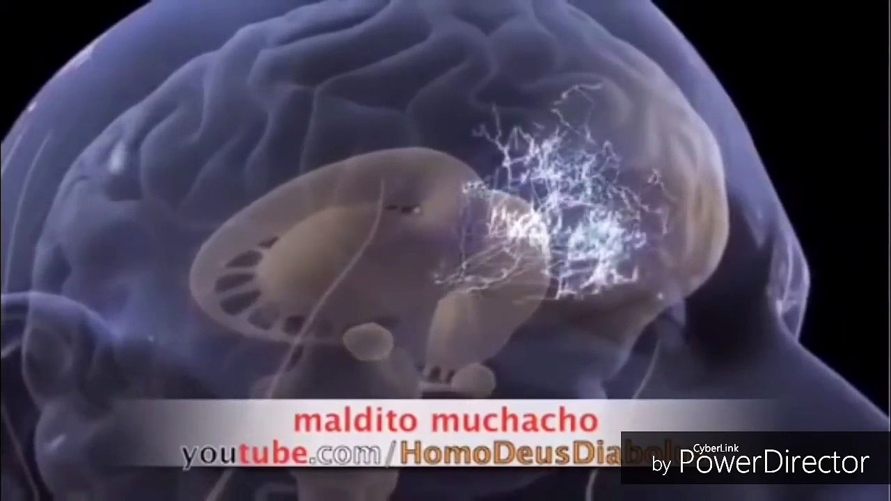 Anonymous habt ihr nix davon gewusst?