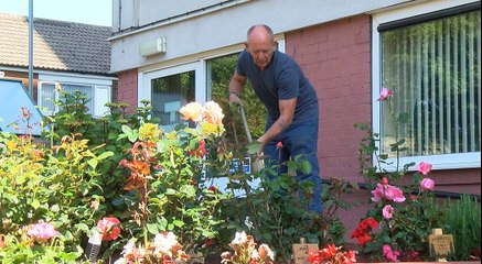 GOODLINES: July 6th 2018