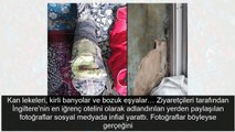 Sosyal medyada ifşa ettiler! Kan lekeleri kirli banyo...