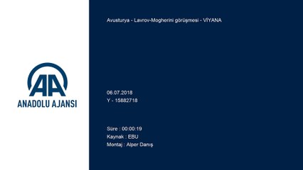 Lavrov-Mogherini görüşmesi - VİYANA