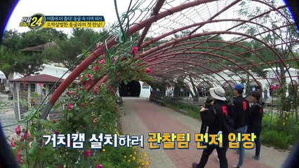 여름에 더 춥다! 동굴 속 이색 피서! 동굴의 반전 매력~