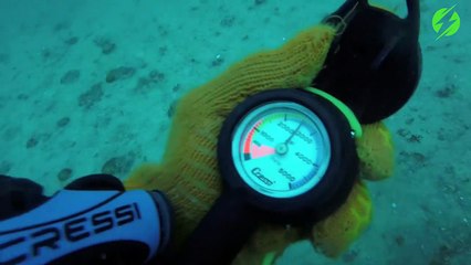 Ce plongeur se met à paniquer quand il aperçoit un requin blanc tout proche