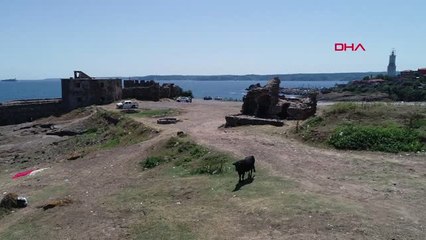 Boğaz'ın İncisi İneklere Kaldı Hd