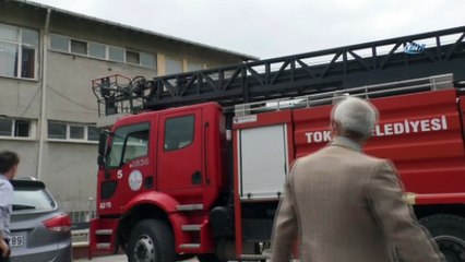 Kurtarmaya gittikleri kırlangıcın telef olduğunu gördüler