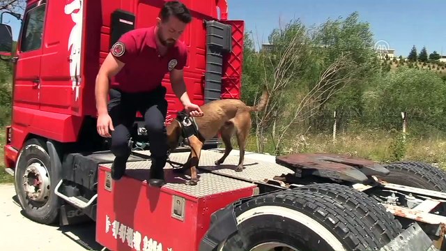 Hassas burunlar artık NEA'da yetişecek - ANKARA