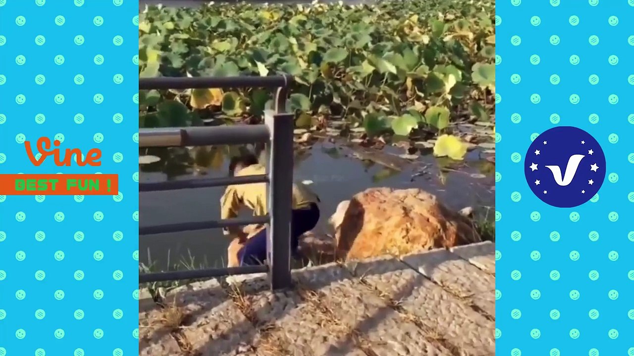 Best funny videos 2018 ● People doing stupid things compilation P5