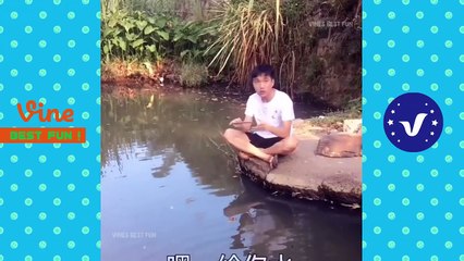 Funny Videos 2018 ● People doing stupid things P6