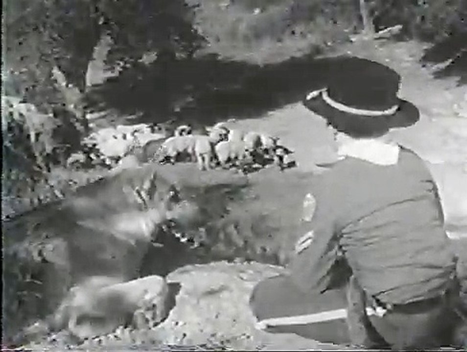 The Adventures of Rin Tin Tin @ 19 Rin Tin Tin and the Eagle's Nest