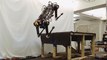 This 'blind' robot can jump on your table and chase you in the dark even when its leg is broken