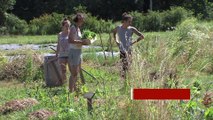 Toute l'information de la Région Auvergne Rhône-Alpes!