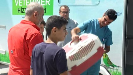 Şiddet Olaylarına Dikkat Çekmek İçin Sokak Hayvanlarını Tedavi Ediyorlar