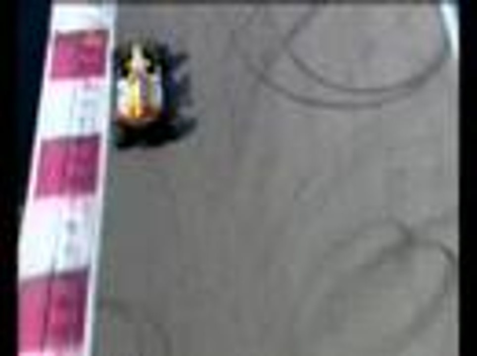 ING Renault F1 Carbon Fibre 2