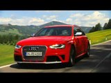 Audi RS4 Avant When the Dog is in a Hurry