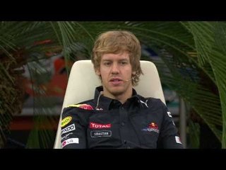 Formula 1 2010   Red Bull Racing   Press Conference