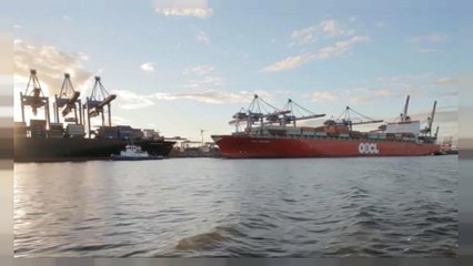 Krimexporte: Haben deutsche Firmen EU-Sanktionen mißachtet?