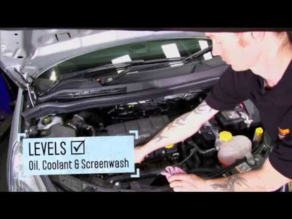 Winter Survival Guide | AutoMotoTV