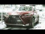 Lexus NX Development Digest | AutoMotoTV