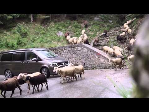 The new Marco Polo 250 Blue TEC - Driving Video | AutoMotoTV