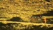 MAZDA MX-5 Generation 2 - Driving Video in yellow | AutoMotoTV