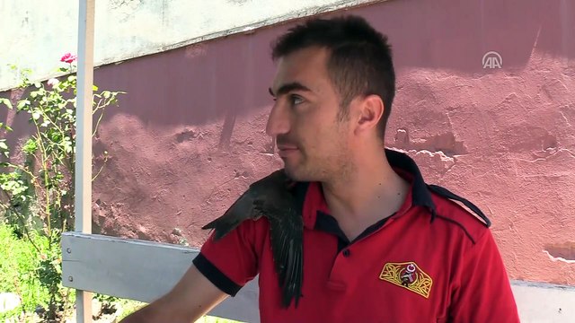 İtfaiye merdiveni ebabil kuşları için kaldırıldı - ZONGULDAK