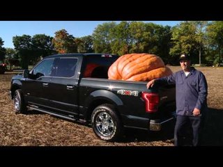 Great Pumpkin and 2015 Ford F-150 Story | AutoMotoTV