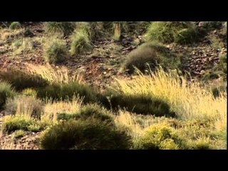 Opel Corsa colour edition 3 door blue