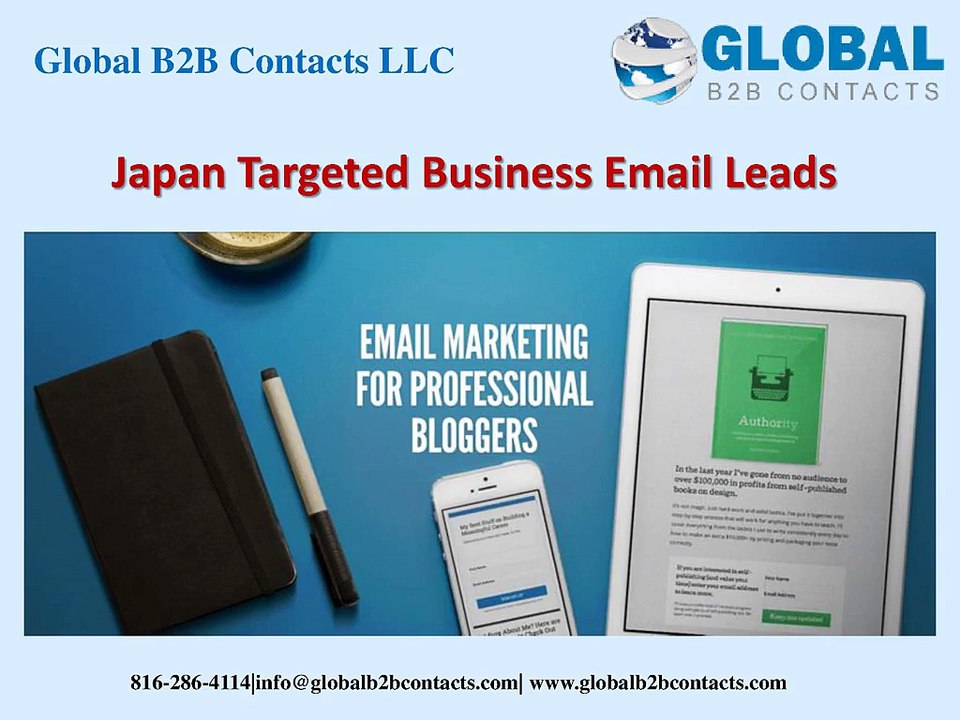 Japan Targeted Business Email Leads