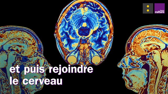 Les vaccins présentent-ils un risque pour la santé ?