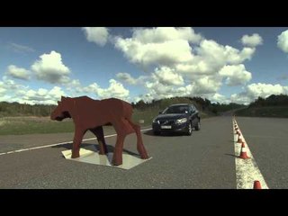Volvo Vision 2020 - Animal Detection A-Roll