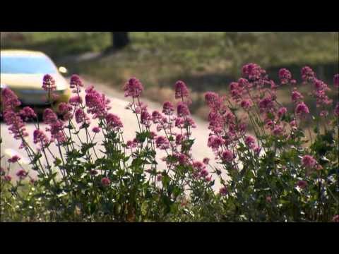 Opel Astra GTC Trailer