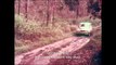 Volvo PV 544 in the East African Safari Rally, 1965 | AutoMotoTV