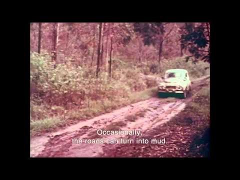 Volvo PV 544 in the East African Safari Rally, 1965 | AutoMotoTV