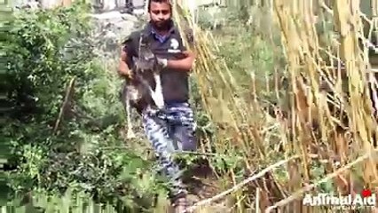 Khajur Wants Prachi As His Mother | Kids Comedy | The Kapil Sharma Show