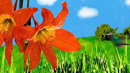 The Secret Life Of The American Teenager S01E21 Whoomp! (There It Is)