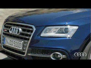 Audi SQ5 TDI