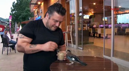 Sahiplendiği kargalara çocuğu gibi bakıyor