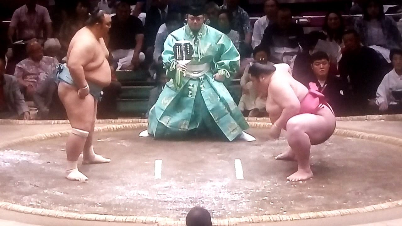 琴勇輝 vs 剣翔 2018年大相撲夏場所13日目 20180525